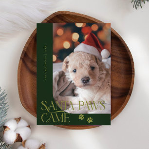 Santa Tassar kom Hund Photo Grönt jul Julkort