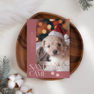 Santa Tassar kom Hund Photo Rosa jul Julkort