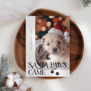 Santa Tassar kom Hund Photo White jul Julkort