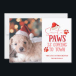 Santa Tassar kommer till julfoto Julkort<br><div class="desc">Santa Tassar kommer till julfoto och typografi med Roligt Helgdag Quote, Santa Hat, Hund eller Cat Tass avtryck och trendig skripttext i Bright Red. Ett lustigt och sött citat för Djurälskare, helgdagar och vintersäsongen. Roligt för hela familjen! Lägg bara till anpassningsbarnas fotohälsningskort. ~ Kolla min butik för att se hela...</div>
