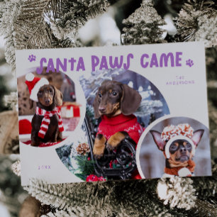 Santa Tassar Lilac Hund Photo Helgdag Card Julkort
