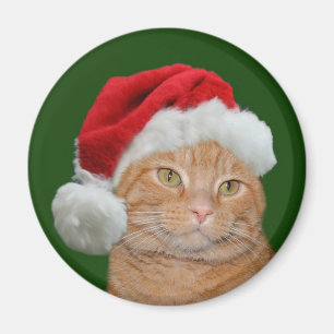 Santa tassar magnet