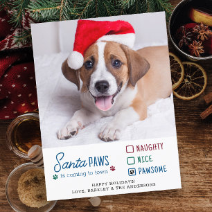 Santa Tassar Naughty Nice Pawsome Hund Pet Photo Helg Vykort