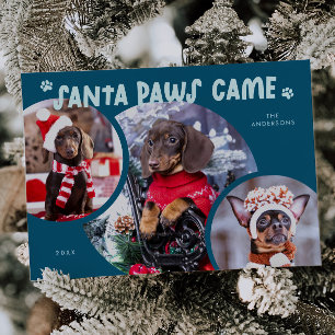 Santa Tassar Teal Hund Photo Helgdag Card Julkort