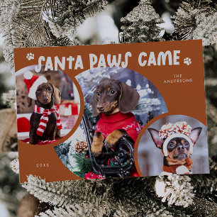 Santa Tassar Terracotta Hund Photo Helgdag Card Julkort