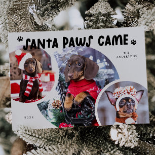 Santa Tassar White Hund Photo Helgdag Card Julkort