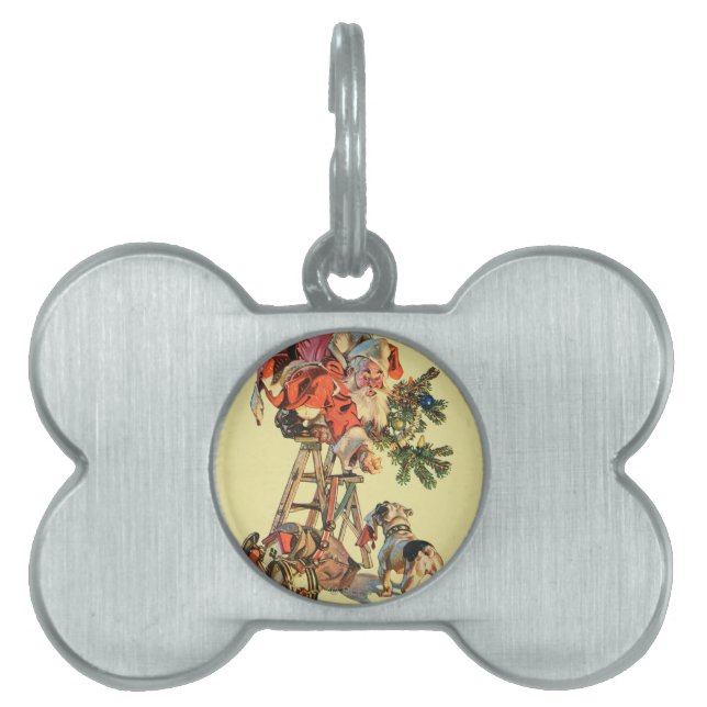 Santa upp en stege namnbricka husdjur (Framsidan)