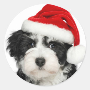 Santa Valp Rund Klistermärke