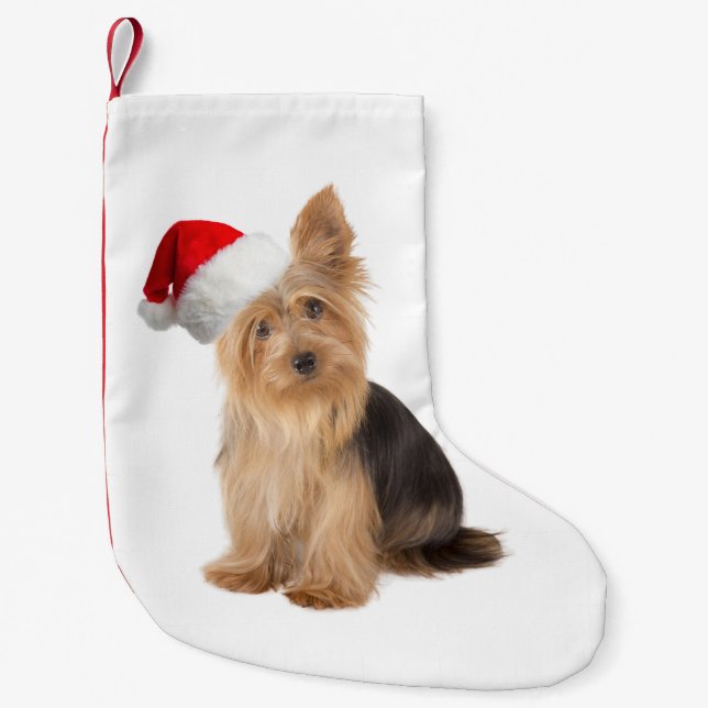 Santa Yorkie julstrumpa (Framsidan)
