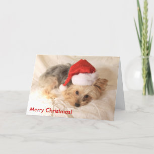 Santa Yorkie kort