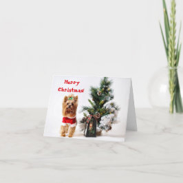 Santa Yorkie med julen Helgdag Träd Helgkort