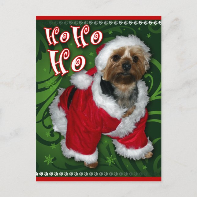 Santa Yorkie Postcard Helg Vykort (Framsida)