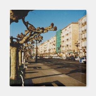 Santander Magnet
