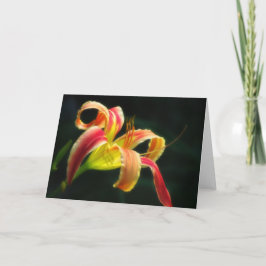 Santa's Byxor Daylily Helgkort