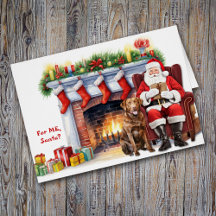 Santa's Gift Chesapeake Bay Retriever Helgdag