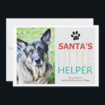 Santa's Helper - Pet Photo Helgdag Flat Cards Julkort<br><div class="desc">Dessa är festliga och perfekter för denna julhelg!</div>