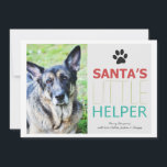 Santa's Helper - Pet Photo Helgdag Flat Cards Julkort<br><div class="desc">Dessa är festliga och perfekter för denna julhelg!</div>
