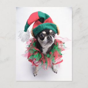 Santas lite hund för hjälpredaälva helg vykort