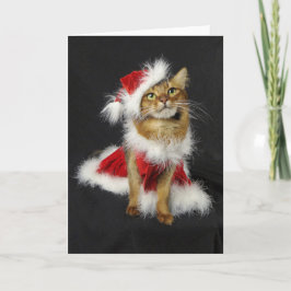 Santas lite jul för katt för hjälpreda somalisk helgkort