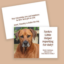 Santa's Little Helper Anpassningsbar Pet Photo jul