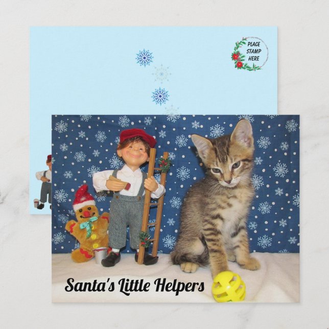 Santa's Little Helpers - Cat & Elf Vykort (Fram/baksida)