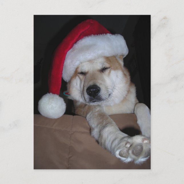 Santa's Little Shiba-Inu Helper Helg Vykort (Framsida)