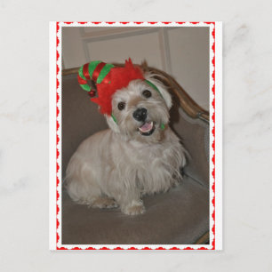 Santa's Little Westie Elf Helg Vykort