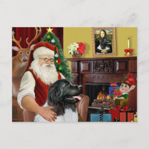 Santa's Newfoundland Landseer Helg Vykort