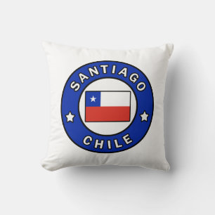 Santiago Chile Kudde