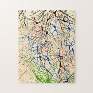 Santiago Ramón Y Cajal Nerve Cells Pussel