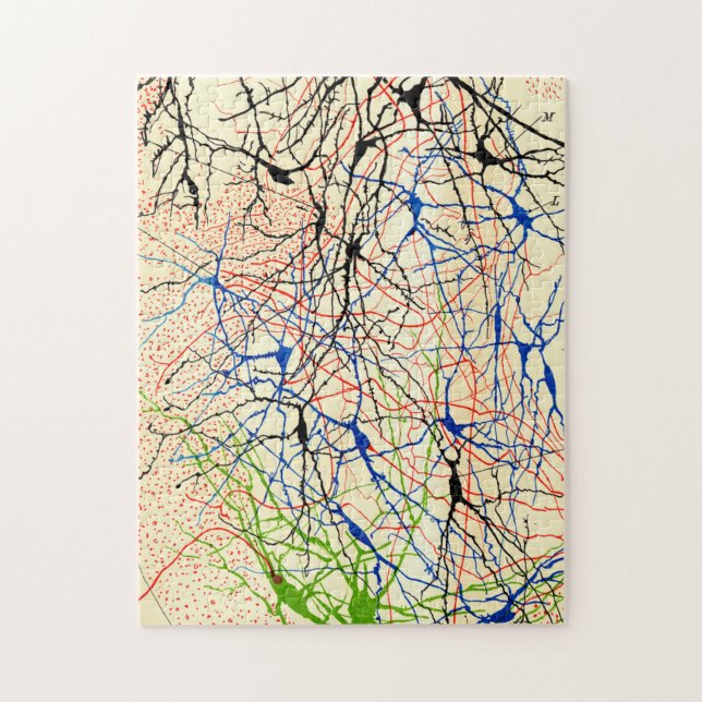 Santiago Ramón Y Cajal Nerve Cells Pussel (Vertikal)