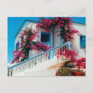 Santorini Blumenpracht Vykort