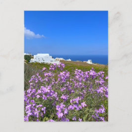 Santorini Greece White Byggnad Lila Vild Flower Vykort