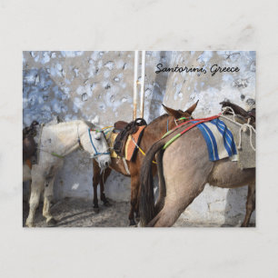 Santorini, Grekland - Donkey Vykort