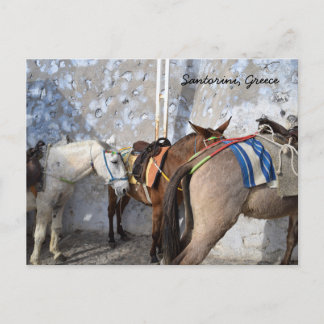 Santorini, Grekland - Donkey Vykort
