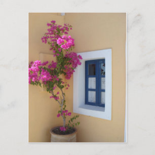 Santorini Window Vykort