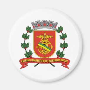 Santos Saopaulo Brasil, Brasilien, flagga Magnet