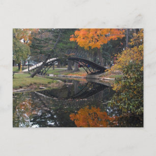 SANY4603 Fall Foliage Vykort