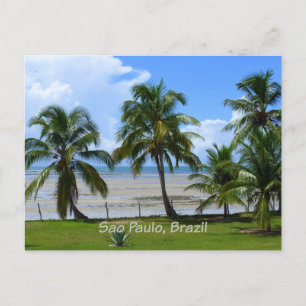Sao Paulo, Brasilien handflatan träd Vykort