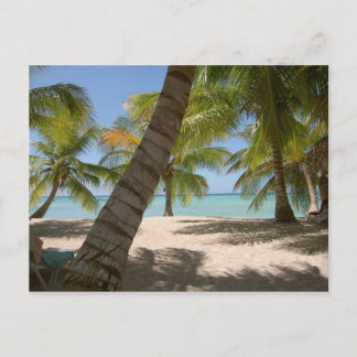 Saona Island Dominikanska republiken Vykort
