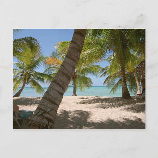 Saona Island Dominikanska republiken Vykort (Framsida)