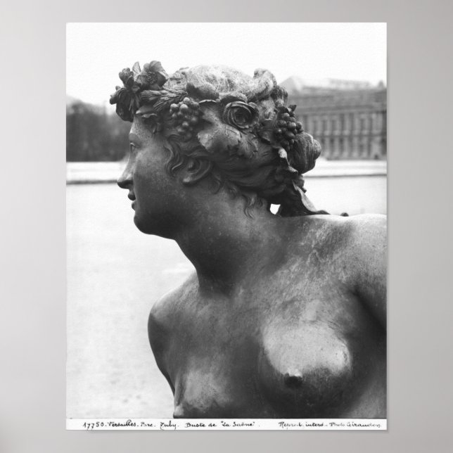 Saone River från Parterre Poster (Framsidan)