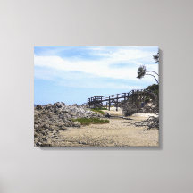 Sapelo Island Beach