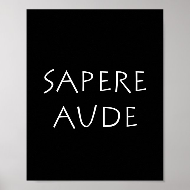 Sapere aude poster (Framsidan)