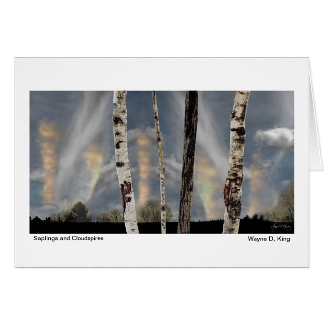 Saplings och Cloudspires OBS Kort (Framsidan Horizontal)