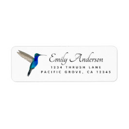 Sapphire-bellied Hummingbird returadress Returadress Etikett