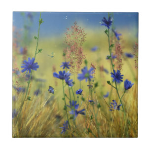 Sapphire & Guld Decorative Tile / Trivet Kakelplatta
