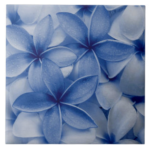 Sapphire och Azure Flowers Kakelplatta