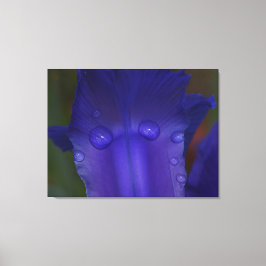 Sapphire Serenity  Canvastryck