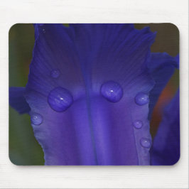 Sapphire Serenity  Musmatta